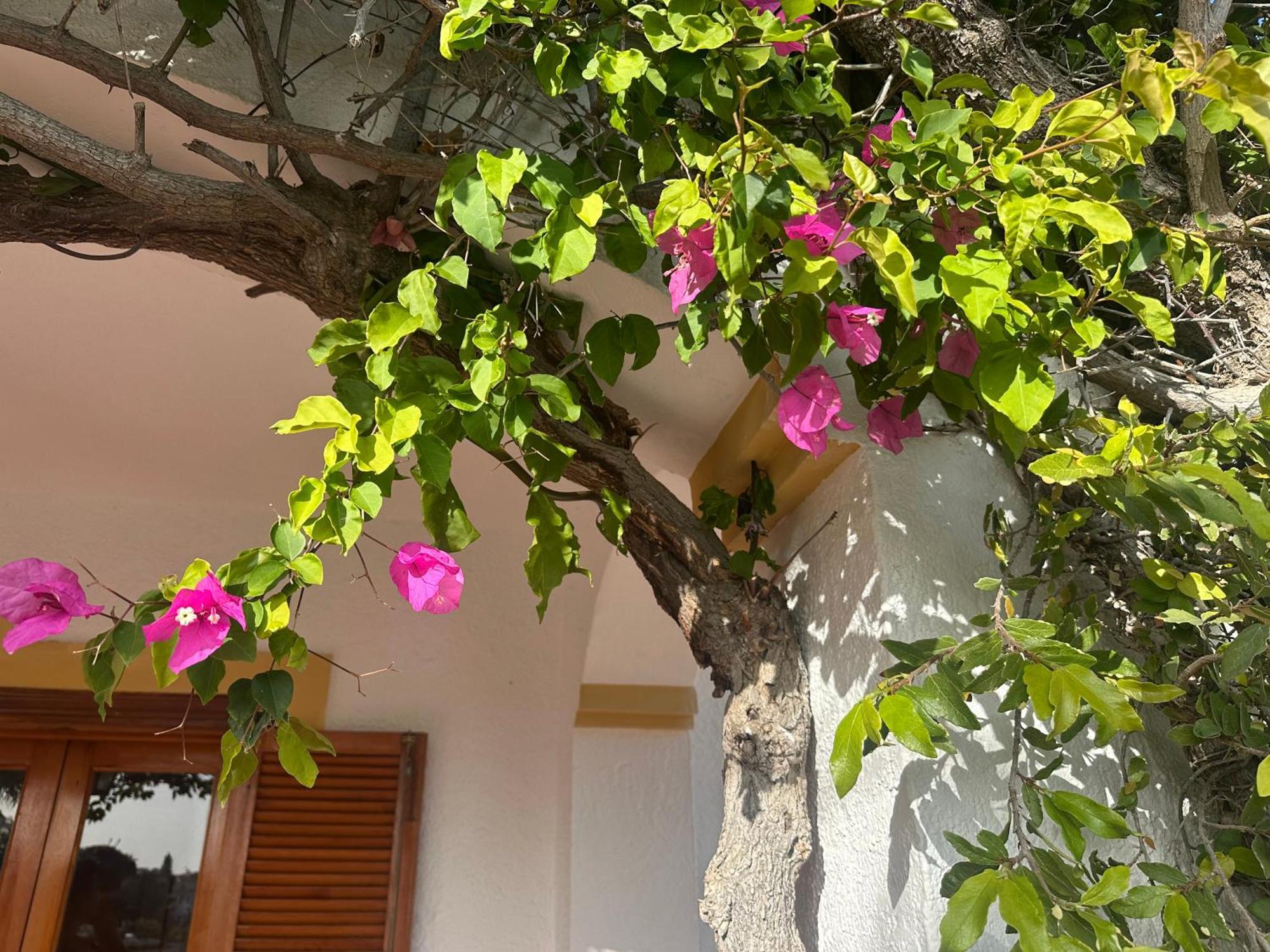 Casa Hermosa Bed and breakfast